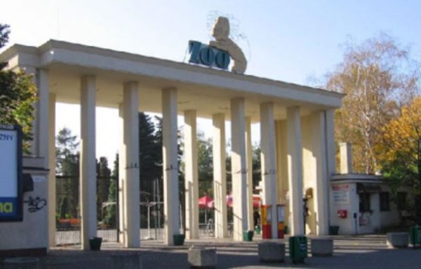 Dulux Let`s Color – kolorujemy wrocławskie zoo