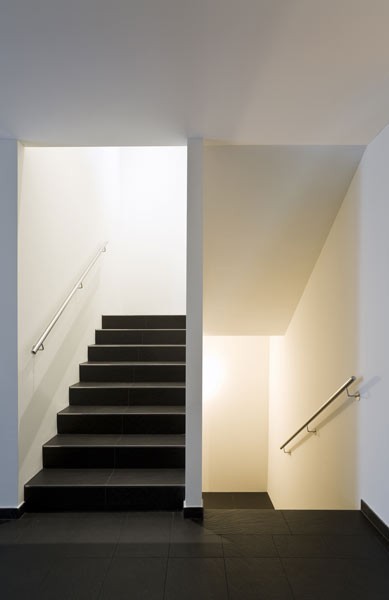 FOT. SHUTTERSTOCK