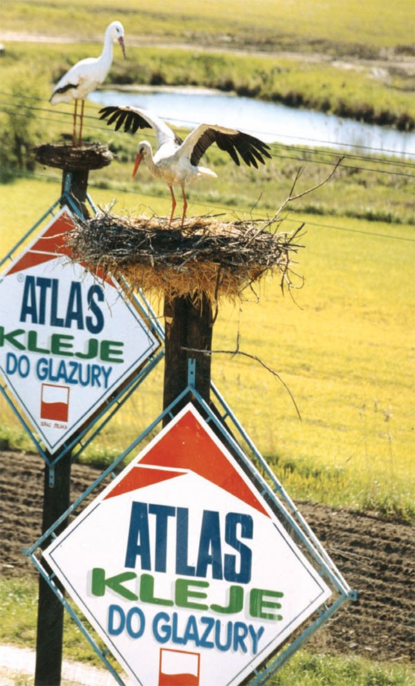 ATLAS Historia prawdziwa