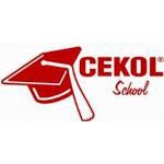 Szkolenia ON-LINE organizowane przez Cekol