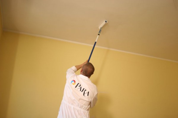 Farba Ceiling Paints