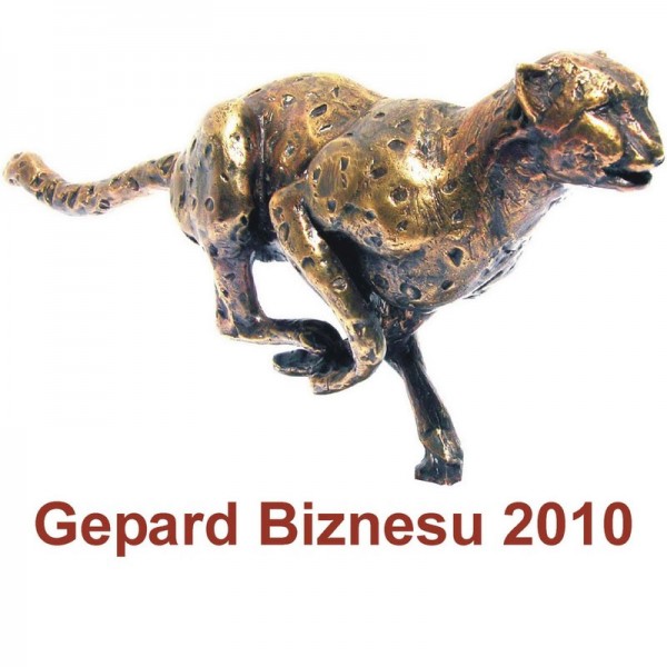 Gepard Biznesu dla Arsanitu