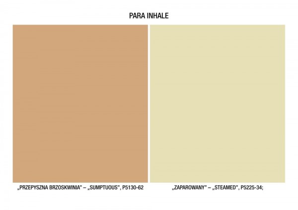 Paleta INHALE - trend kolorystyczny od PARA PAINTS