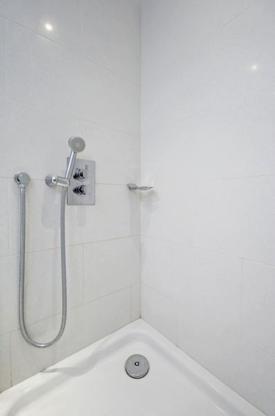 fot. Shutterstock