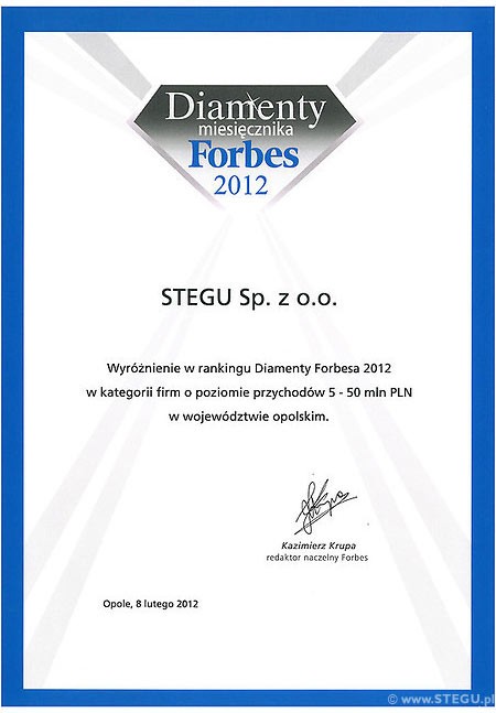 Strona WWW Stegu zdobyła e–Diament Forbes & Onet.pl 2012