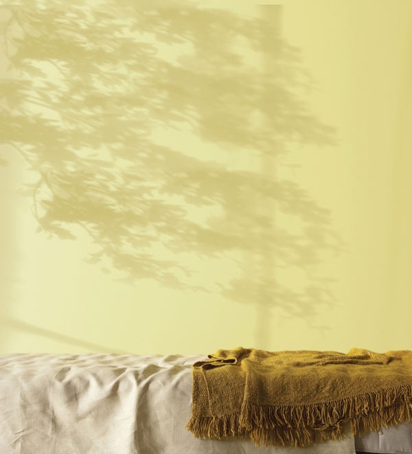 fot. Dulux