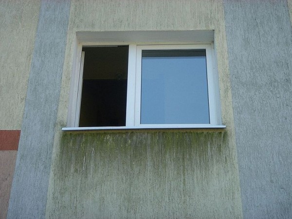 Fot. Bolix