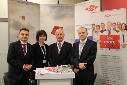 DOW TEAM