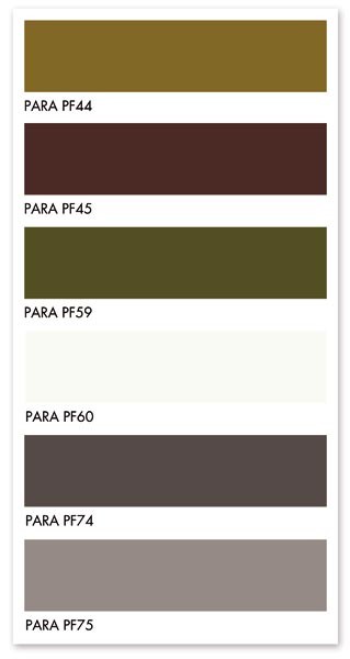 Fot. PARA