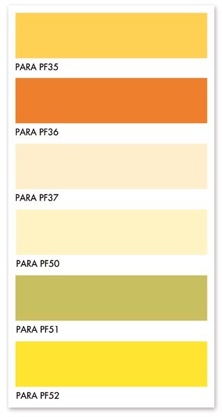 Fot. PARA