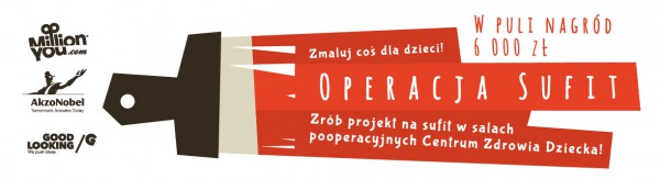Fot. Akzo Nobel