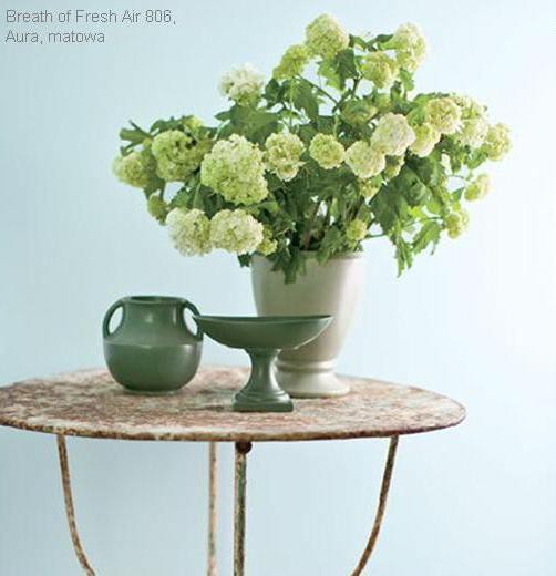 Fot. Benjamin Moore
