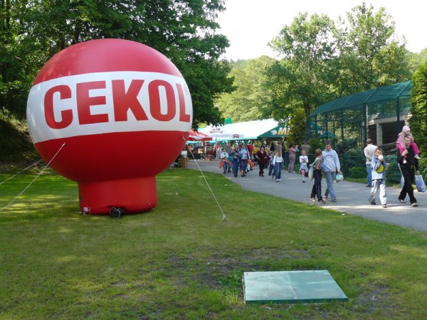 Cedat - Piknik w gdańskim ZOO