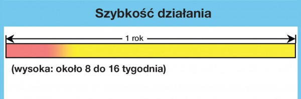 Fot. Remmers