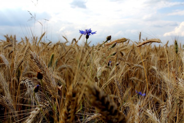 Konkurs Dekoratorium fotografia Magdalena. Fot. Śnieżka 