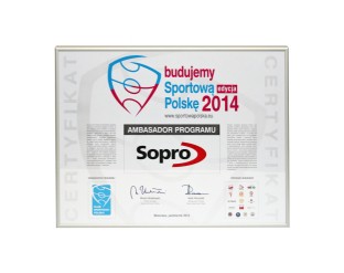 Statuetka „Budowniczy Polskiego Sportu”, Fot. Sopro