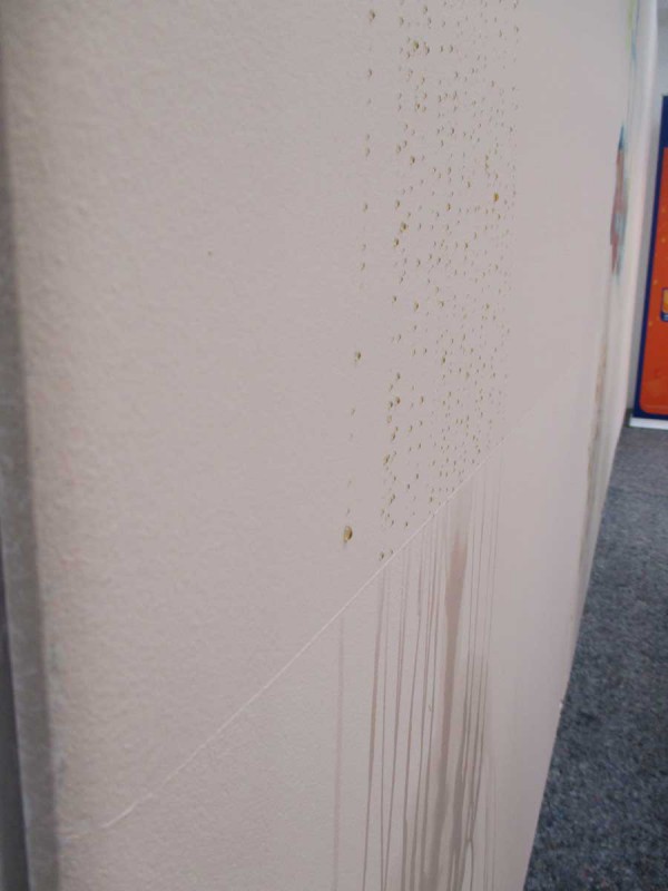 Testy farby Dulux EasyCare