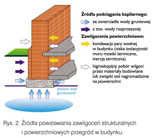 Kapilarne podciąganie wód w budynkach