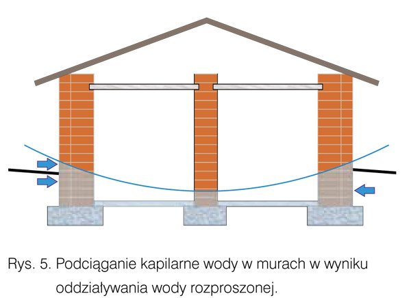 Kapilarne podciąganie wód w budynkach