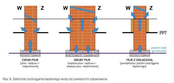 Kapilarne podciąganie wód w budynkach