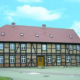 Owady niszczące drewno