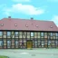 Owady niszczące drewno