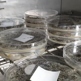 Laboratorium mikrobiologiczne dla potrzeb przemysłu farb i tynków