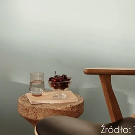 Aranżacja wnętrz na rzecz czystego powietrza